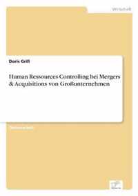 Human Ressources Controlling bei Mergers & Acquisitions von Grossunternehmen