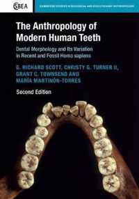 The Anthropology of Modern Human Teeth