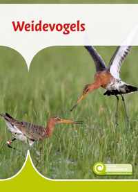 Junior Informatie 115 -   Weidevogels