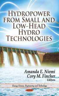 Hydropower from Small & Low-Head Hydro Technologies