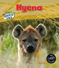 Dieren in beeld  -   Hyena