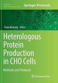 Heterologous Protein Production in CHO Cells