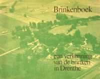 Brinkenboek