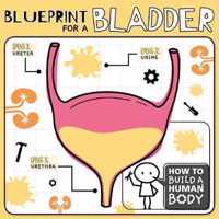 Blueprint for a Bladder