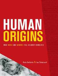 Human Origins