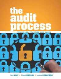 The Audit Process