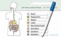 Ich kenne meinen Körper - Verdauungsweg