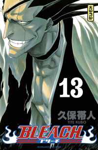 Bleach deel 13