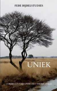 Uniek - Febe Bijbelstudies - Paperback (9789464481297)