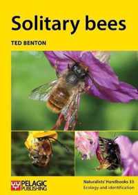 Solitary Bees