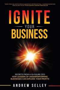 IGNITE Your Business!: Secrets From a 10-Figure CEO