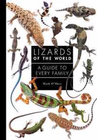 Lizards of the World: A Guide to Every Family