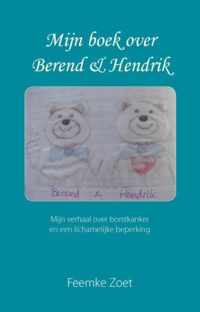 Mijn boek over Berend en Hendrik