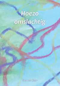 Hoezo omslachtig - Eva van Baar - Paperback (9789464060799)