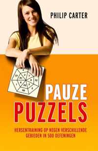 Pauze puzzels