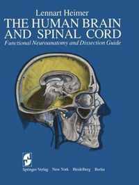 The Human Brain and Spinal Cord