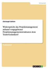 Widerspricht das Projektmanagement anhand vorgegebener Projektmanagementstrukturen dem Team-Gedanken?