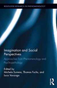 Imagination and Social Perspectives