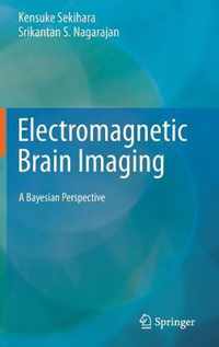 Electromagnetic Brain Imaging