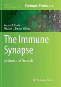 The Immune Synapse