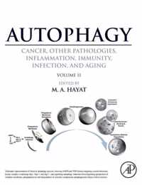 Autophagy: Cancer, Other Pathologies, Inflammation, Immunity, Infection, and Aging