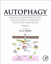 Autophagy: Cancer, Other Pathologies, Inflammation, Immunity, Infection, and Aging