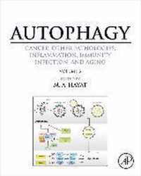 Autophagy: Cancer, Other Pathologies, Inflammation, Immunity, Infection, and Aging