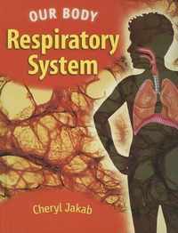 Us Respiratory System Our Body