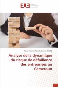 Analyse de la dynamique du risque de defaillance des entreprises au Cameroun