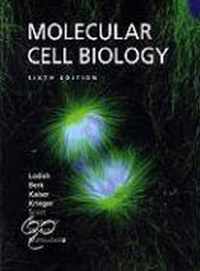 Molecular Cell Biology