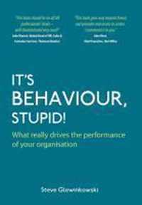 It's Behaviour, Stupid! What really drives the performance of your organisation