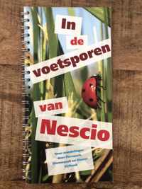 In de voetsporen van Nescio