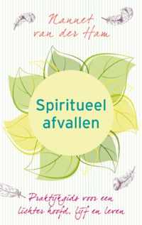 Spiritueel afvallen