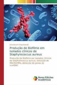 Producao de Biofilme em isolados clinicos de Staphylococcus aureus