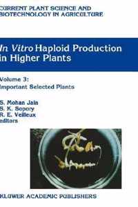 In Vitro Haploid Production in Higher Plants