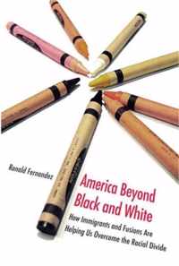 America Beyond Black and White