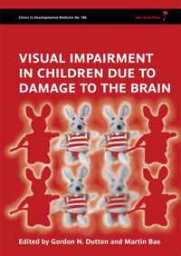 Visual Impairment In Children Due To Damage To The Brain