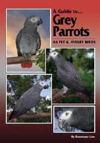 A Guide to Grey Parrots as Pet & Aviary Birds