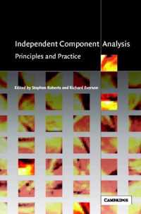 Independent Component Analysis