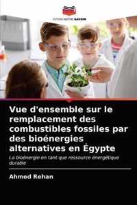 Vue d'ensemble sur le remplacement des combustibles fossiles par des bioenergies alternatives en Egypte