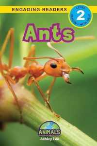 Ants