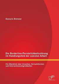 Die Borderline-Persönlichkeitsstörung im Handlungsfeld der sozialen Arbeit: Ein Überblick über Ursachen, Verlaufsformen und Interventionsmöglichkeiten