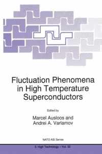 Fluctuation Phenomena in High Temperature Superconductors