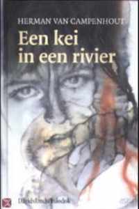 Een kei in een rivier