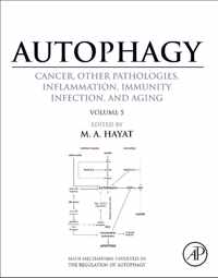 Autophagy: Cancer, Other Pathologies, Inflammation, Immunity, Infection, and Aging