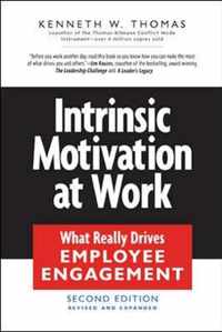 Intrinsic Motivation at Work