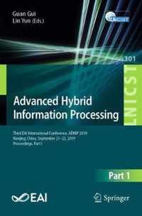 Advanced Hybrid Information Processing