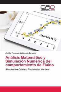 Analisis Matematico y Simulacion Numerica del comportamiento de Fluido