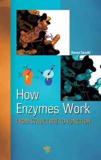 How Enzymes Work