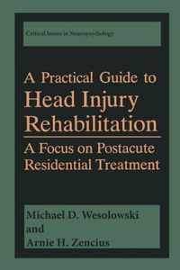 A Practical Guide to Head Injury Rehabilitation